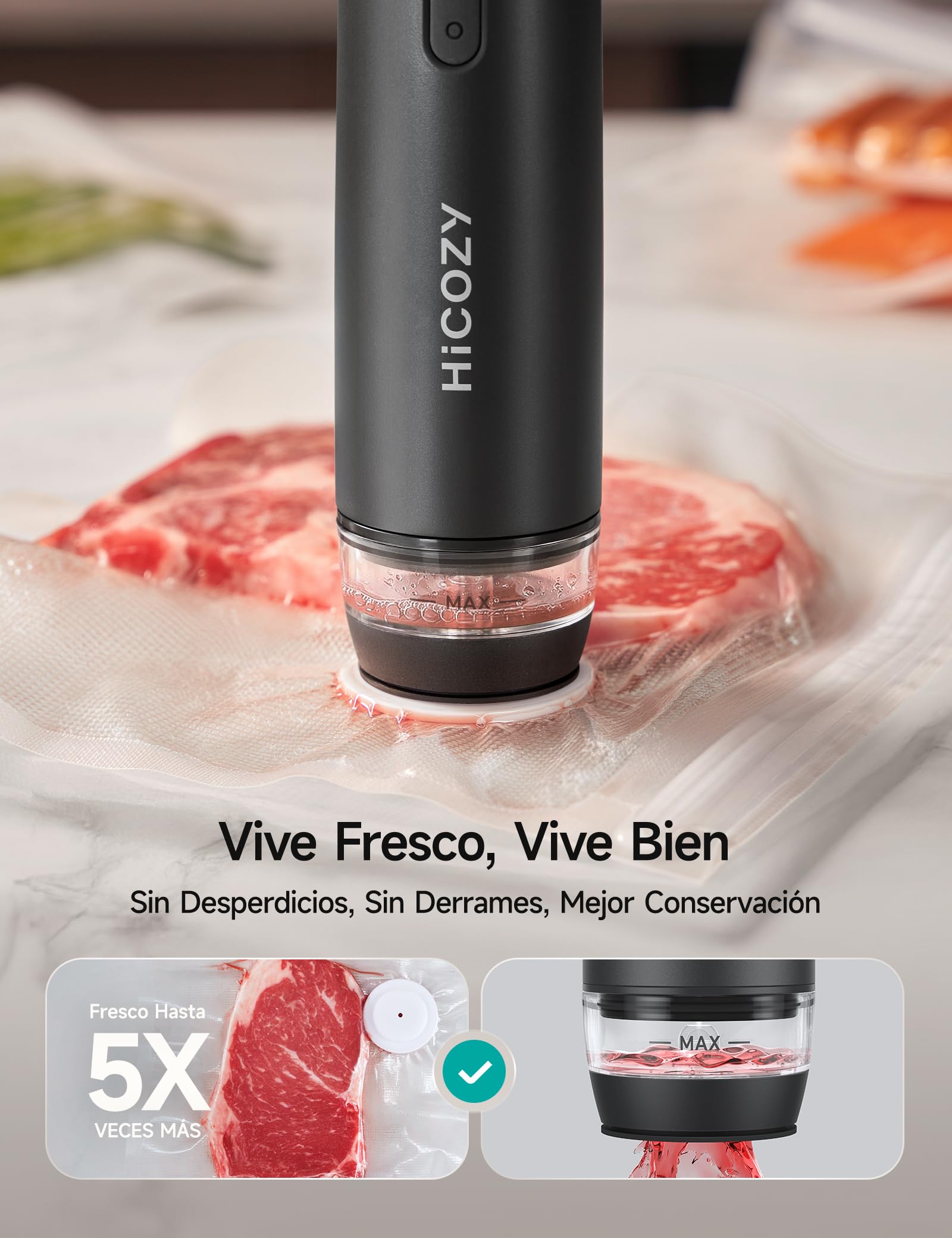HiCOZY Envasadora al Vacio Domestica, Sellador al Vacío de Alimentos de un solo Toque Depósito de Agua Visible, Maquina Envasar al Vacio Compacta con 30 Bolsas Reutilizables, Gris