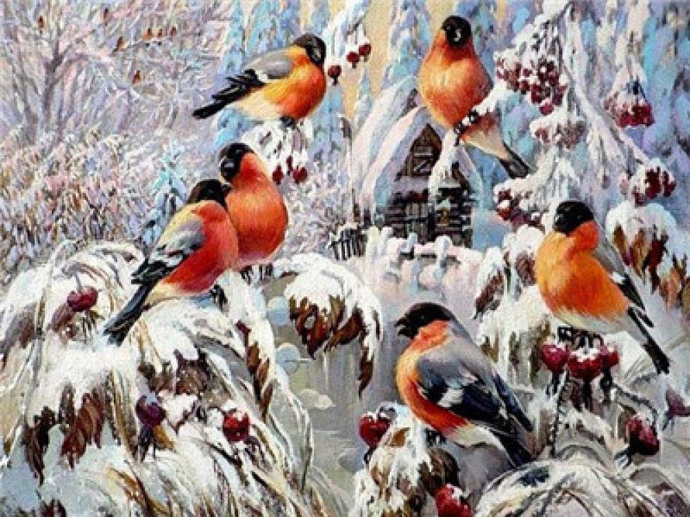 Adminsss Digital Oil Painting Snowfinch Diy Oil Paint by Number Pre-Printed Canvas Art Home Decoration Canvas Kit for Adults Advanced Children 40x50cm Frameless