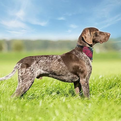 Miniatura 5 de Vintage étnico nativo del suroeste americano, tribal indio azteca textiles perro ajustable martingala collar martingala, baberos de saliva collares