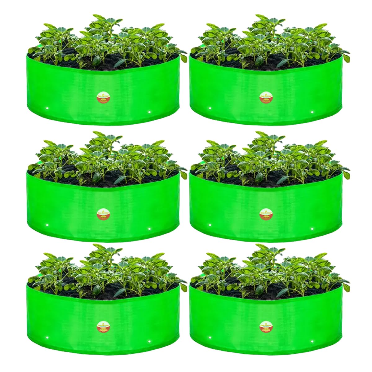 Casa De Amor Premium HDPE UV Protected 360 GSM Round Shaped Green Colour Plants Grow Bags Suitable for Terrace and Vegetable Gardening (Size 18x9 Inches, Pack of 6) (B0DDGVQZ17) Amazon Price History, Amazon Price Tracker