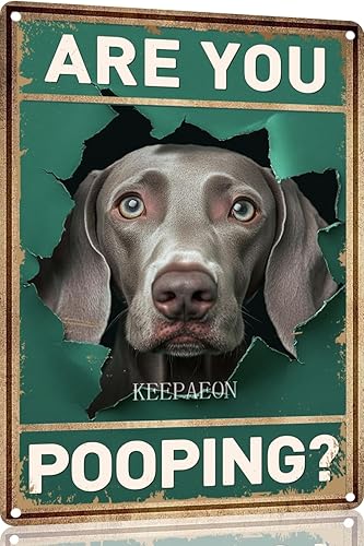 Miniatura 32 de Letrero de hojalata divertido con texto en inglés "Saint Bernard Dog Are You Pooping" para decoración de pared de baño, inodoro, 12 x 8 pulgadas