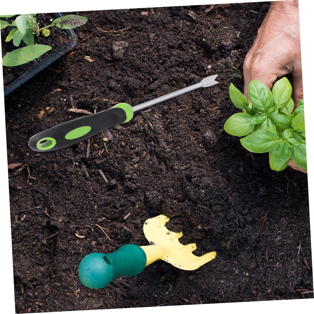Veemoon 5pièces Outil De Désherbage Manuel Inoxydable Arracheur De Mauvaises Ergonomique pour Jardinage Et Agriculture Outil De Jardinage Polyvalent pour Désherbage