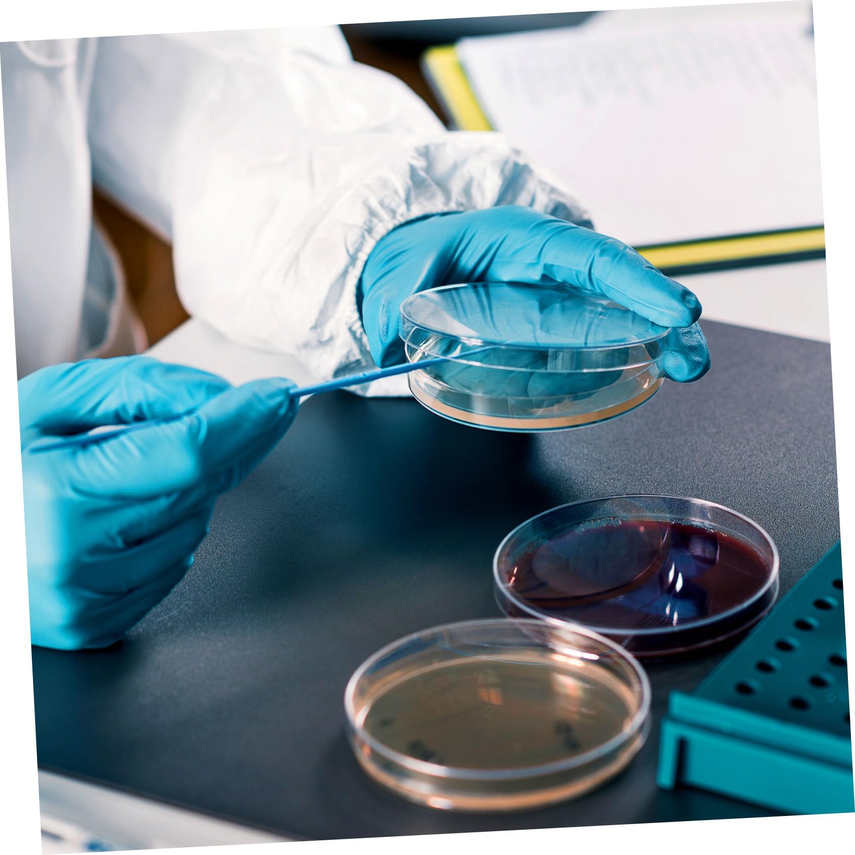Agar Prevertido Material de Agar Nutritivo 20 Placas de Petri 7cm para Cultivo Microbiológico Ideales para Experimentos en Laboratorio y Escuela