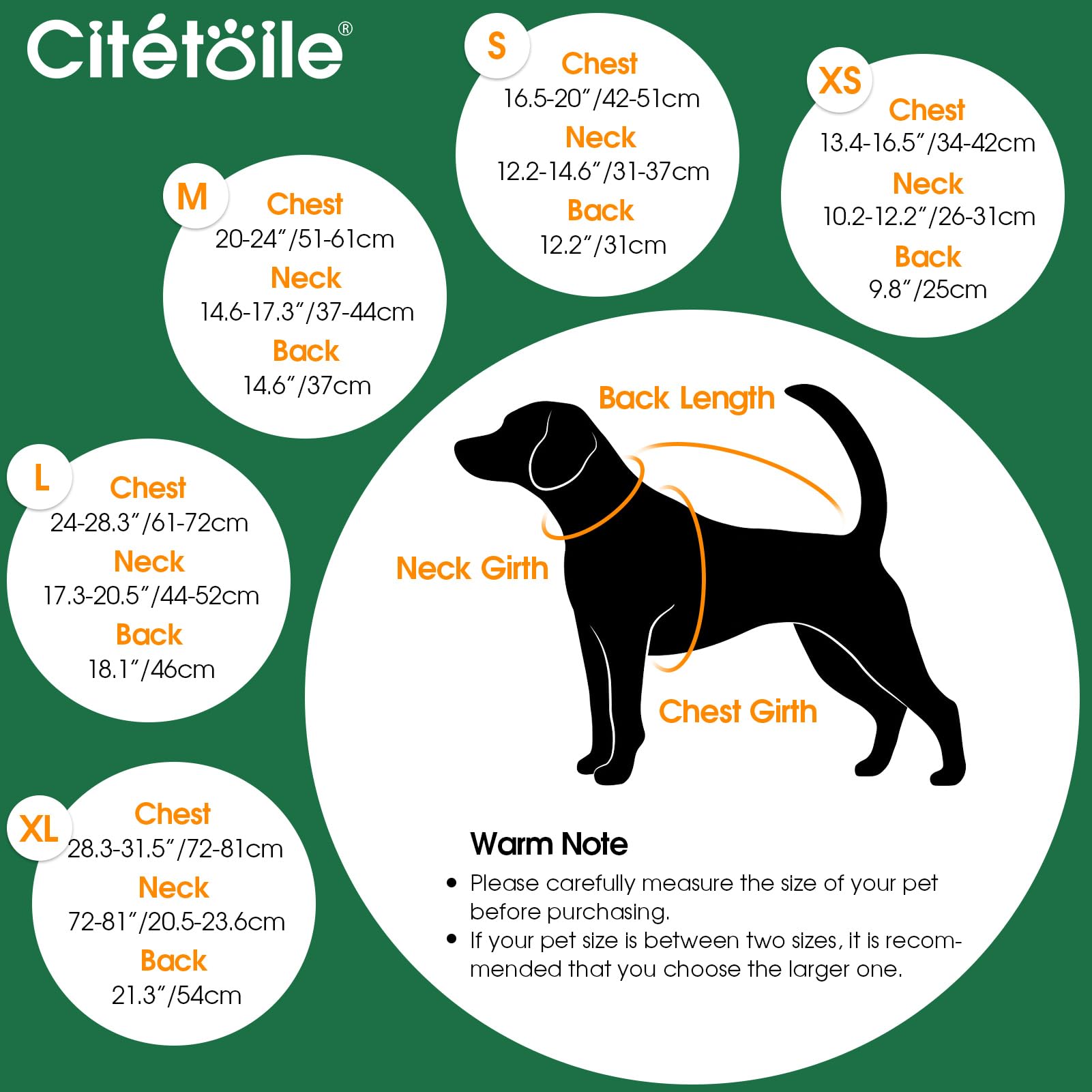 CITÉTOILE Cappotto Invernale per Cani - Gilet Termico con Lana Spessa, Giacca Antivento per Chihuahua e Razze Piccole/Medie/Grandi, Foro con Corda di Trazione, Verde, S