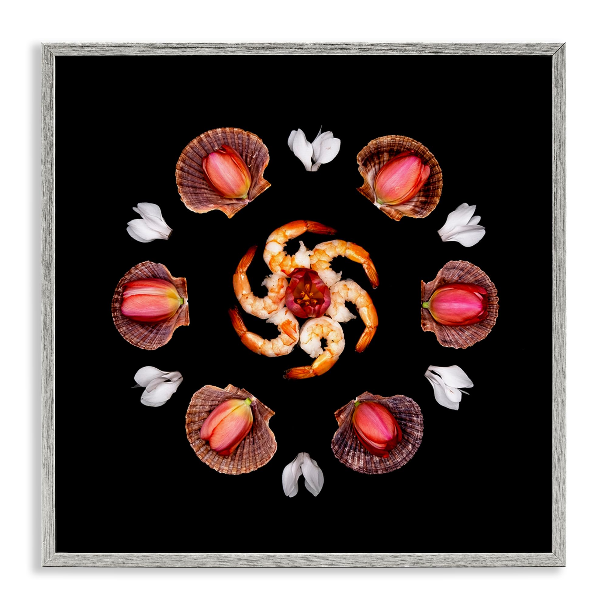 Stupell Industries 'Seashells & Tulips Symmetry', Framed Giclee Art, Gray, 24 x 24 Inches, Easy to Hang and Sturdy, Made in USA, by Beth Adoette