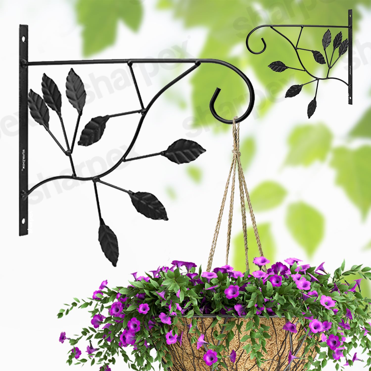 Sharpex Wall Mounted Metal Bracket | Decorative Wall Hook Plant Hanger for Hanging Pots, Bird Feeders, Flower Baskets, Planters, Lanterns, Lamps, and Wind Chimes for Indoor/Outdoor Use (Black, 2 Pc)-image-23