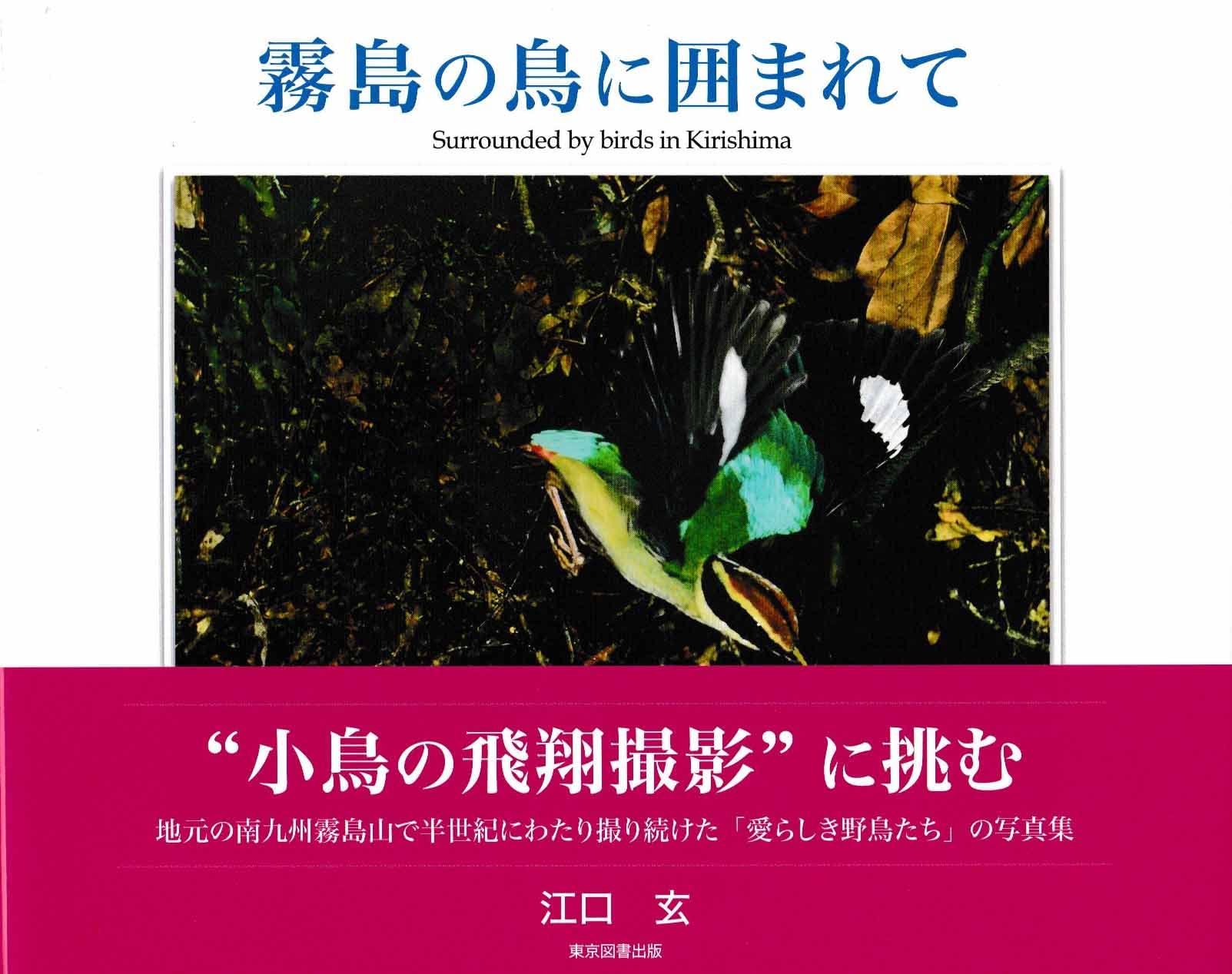 霧島の鳥に囲まれて 江口玄写真集 江口 玄 本 通販 Amazon 霧島の鳥に囲まれて 江口玄写真集 江口 玄 本 通販 Amazon