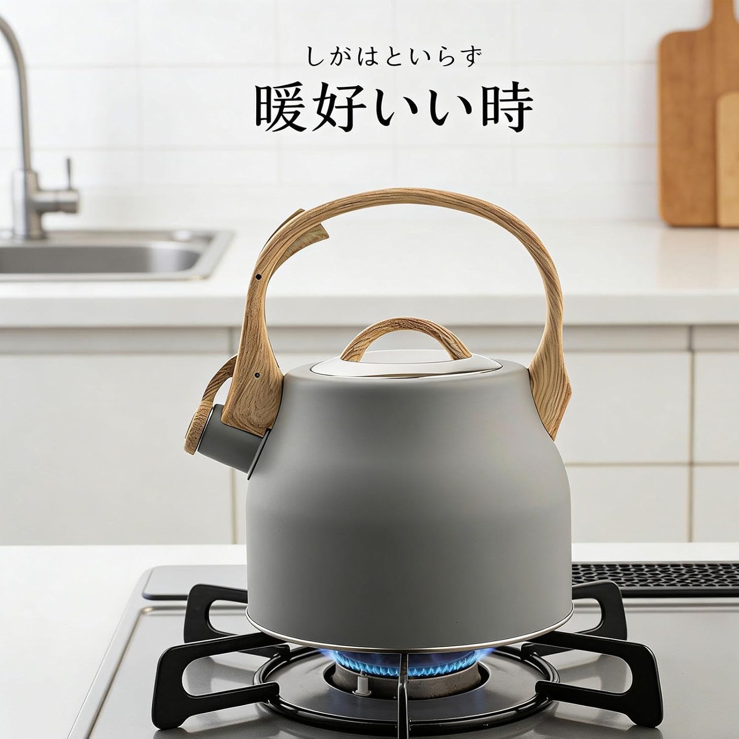 Generic Whistling Water Kettle Portable Universal 3L Tea Pot Loud Whistle Kettle for Tea Camping All Stovetop, Gray