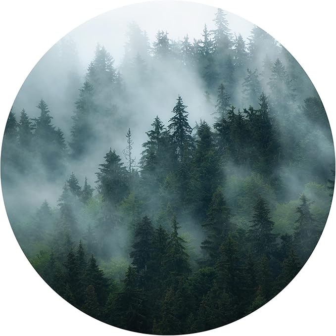 Grandora Wandtattoo Wandaufkleber Landschaft Natur Berge Wohnzimmer Wandsticker Wandbild Schlafzimmer Wanddeko Esszimmer Flur modern Tapete selbstklebend DL652-14