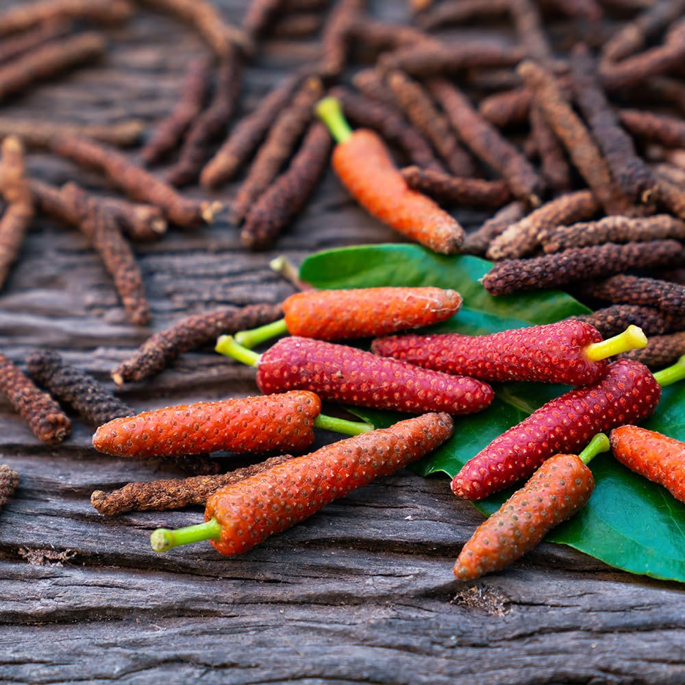 Amazon.co.jp: ITANSE 島胡椒(ヒハツモドキ) 9cm 2個セット