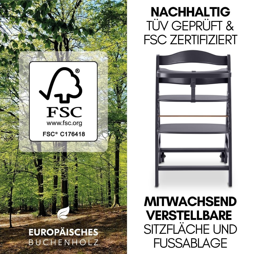 Hauck Beta+ Hochstuhl Newborn Set mit Deluxe Bouncer Dark Grey Mitwachsender Holz Kinderhochstuhl bis 90 kg