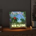 Ammonite Illuminated Vinyl Record Stand, Warm White LED Now Playing Display for Albums, Record Holder & Gift for Music Lovers