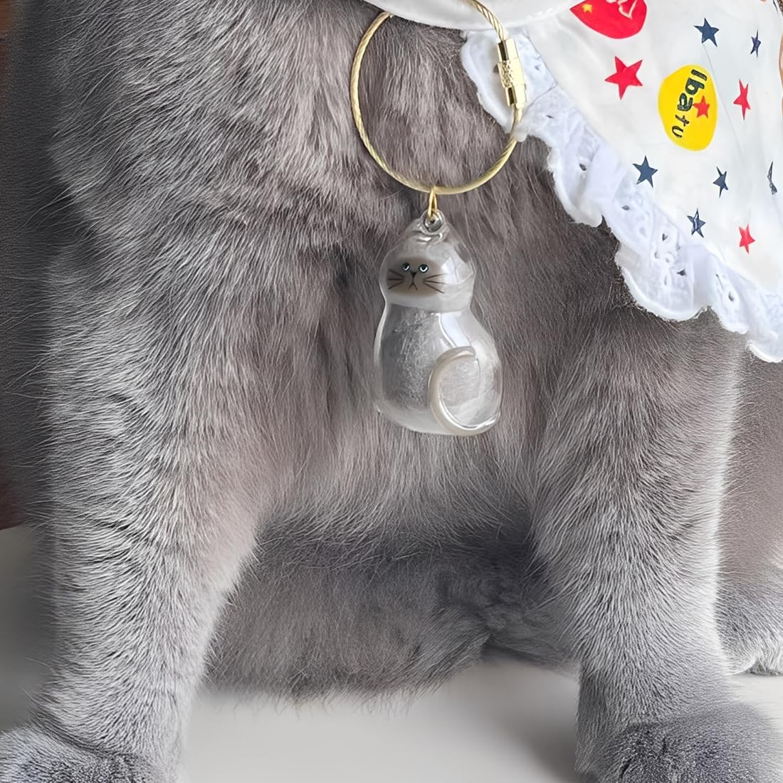 Portachiavi per capelli di gatto, scatola trasparente per capelli di animali domestici