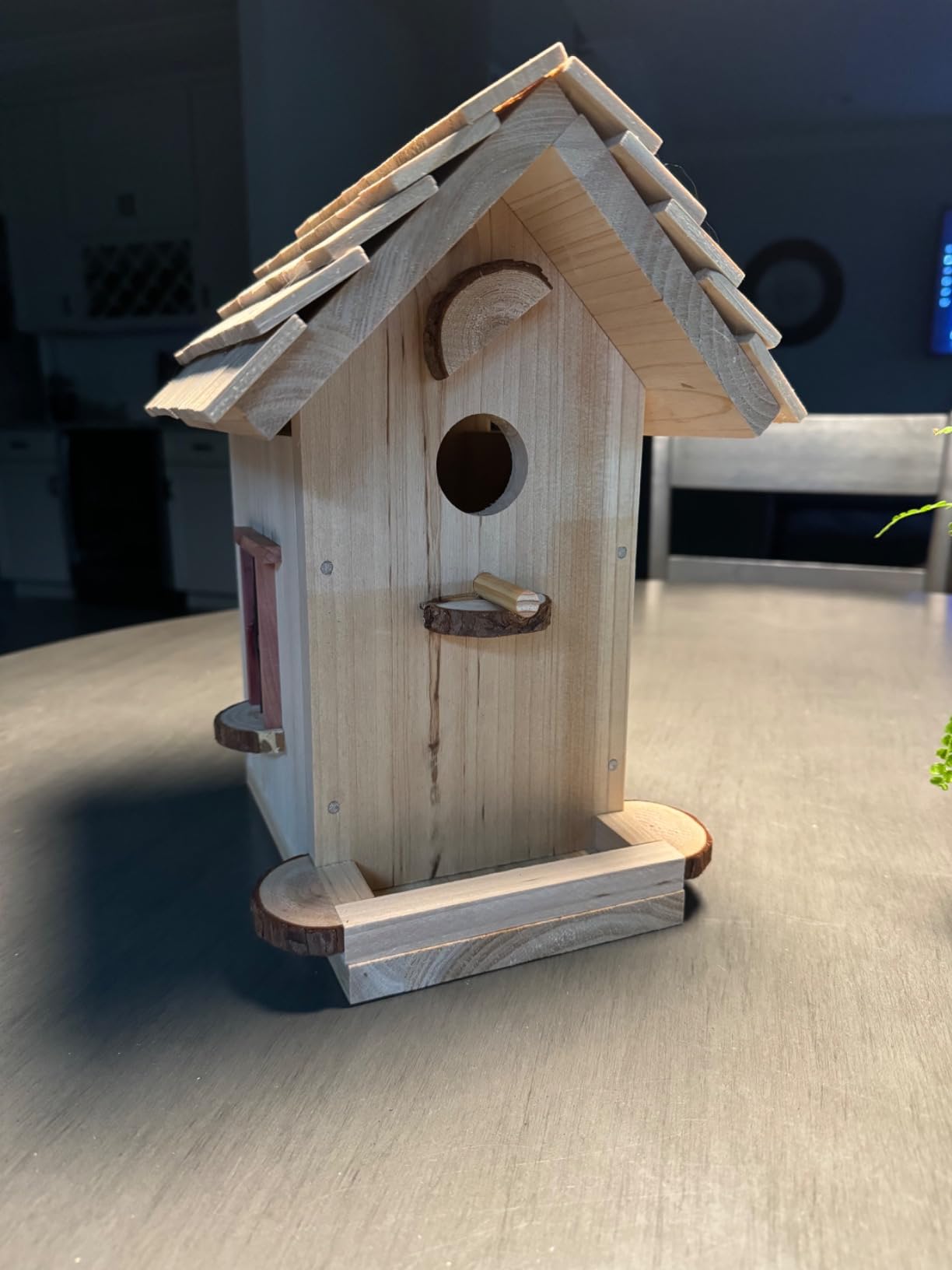 Premium Birdhouse Woodworking Kit