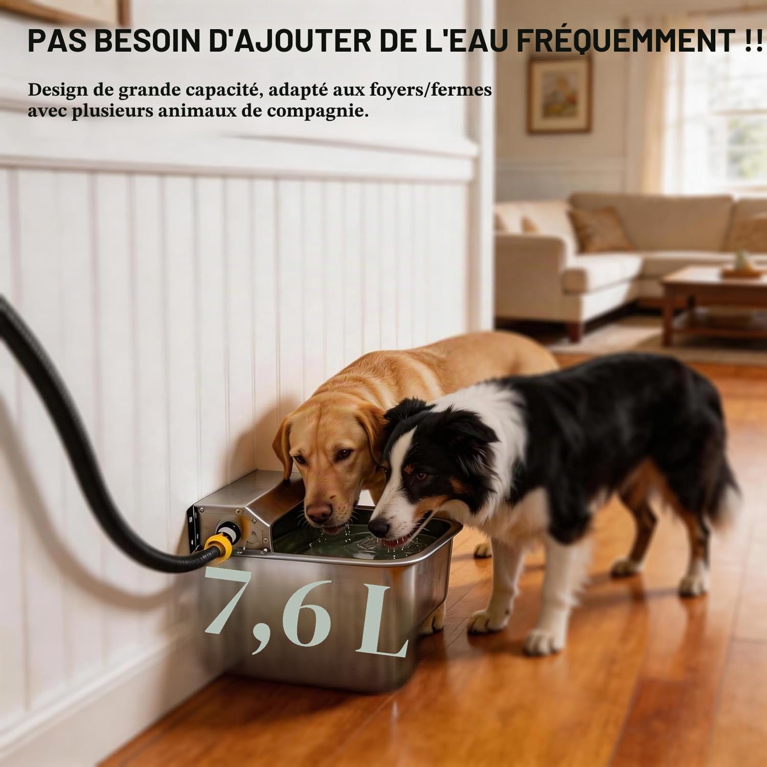 Distributeur d'eau Automatique pour Chien - 1.5 Gal/5.7 l - Intérieur/extérieur - Acier Inoxydable - Bétail, Animaux de Compagnie, Poulet