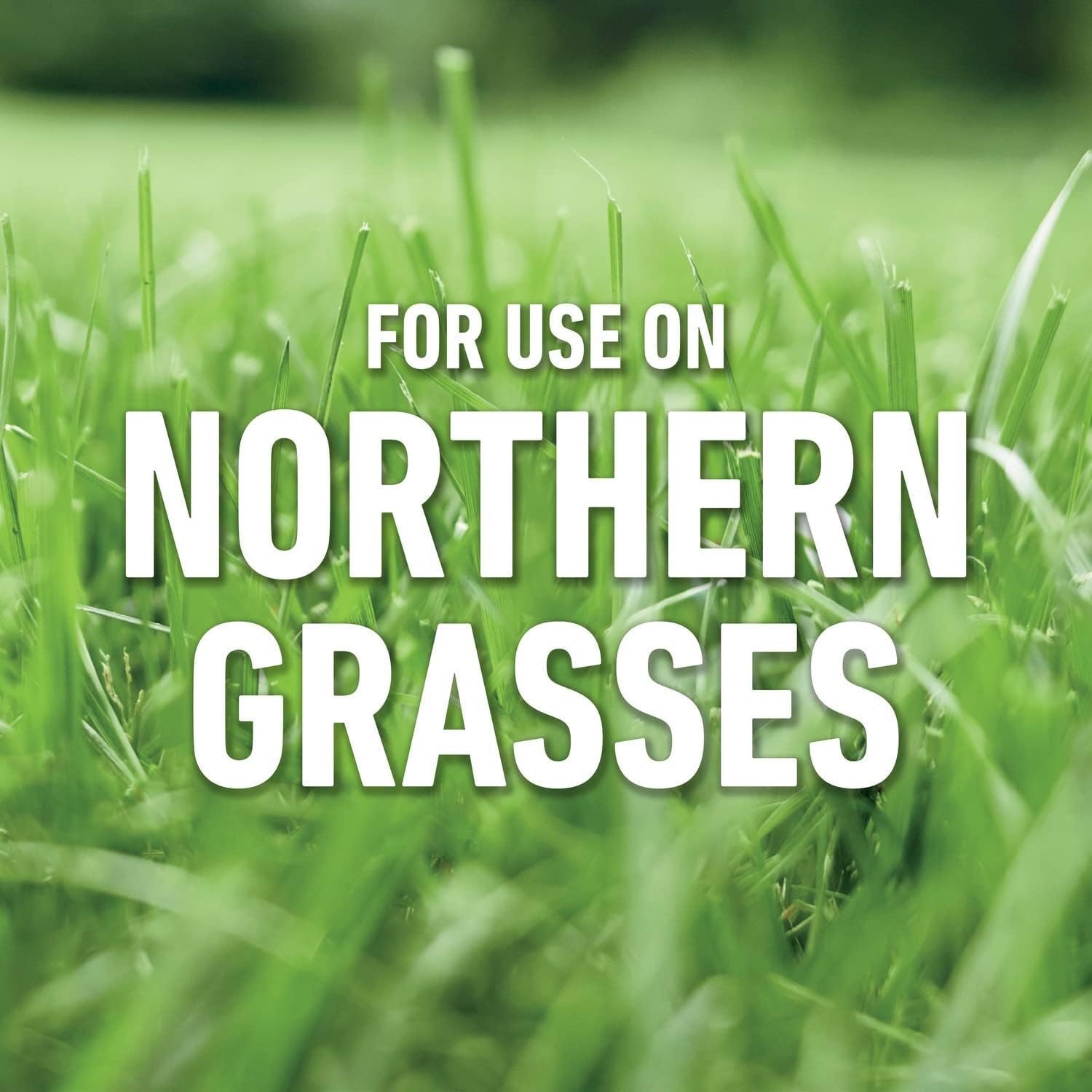 Roundup for Lawns₃ Ready-to-Spray, Tough Weed Killer for Use on Northern Grasses, 32 fl. oz.