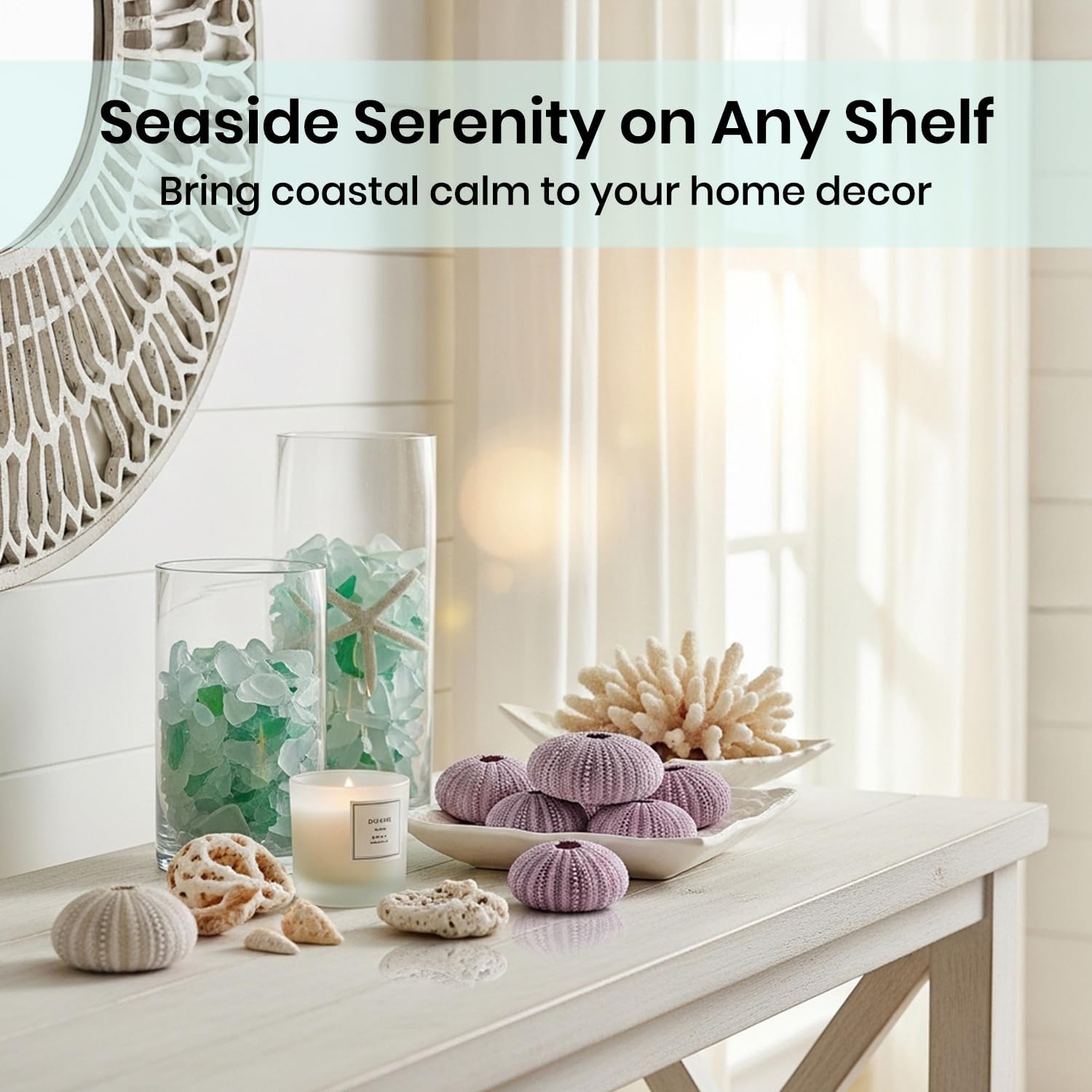 Nautical Crush Trading Sea Urchins Shells for Air Plants - 8 Purple (1.5-2.5") Sea Urchin Shells - Hanging Air Plant Holder - Air Plants Live Holders - Air Plant Pot - No Plants Included