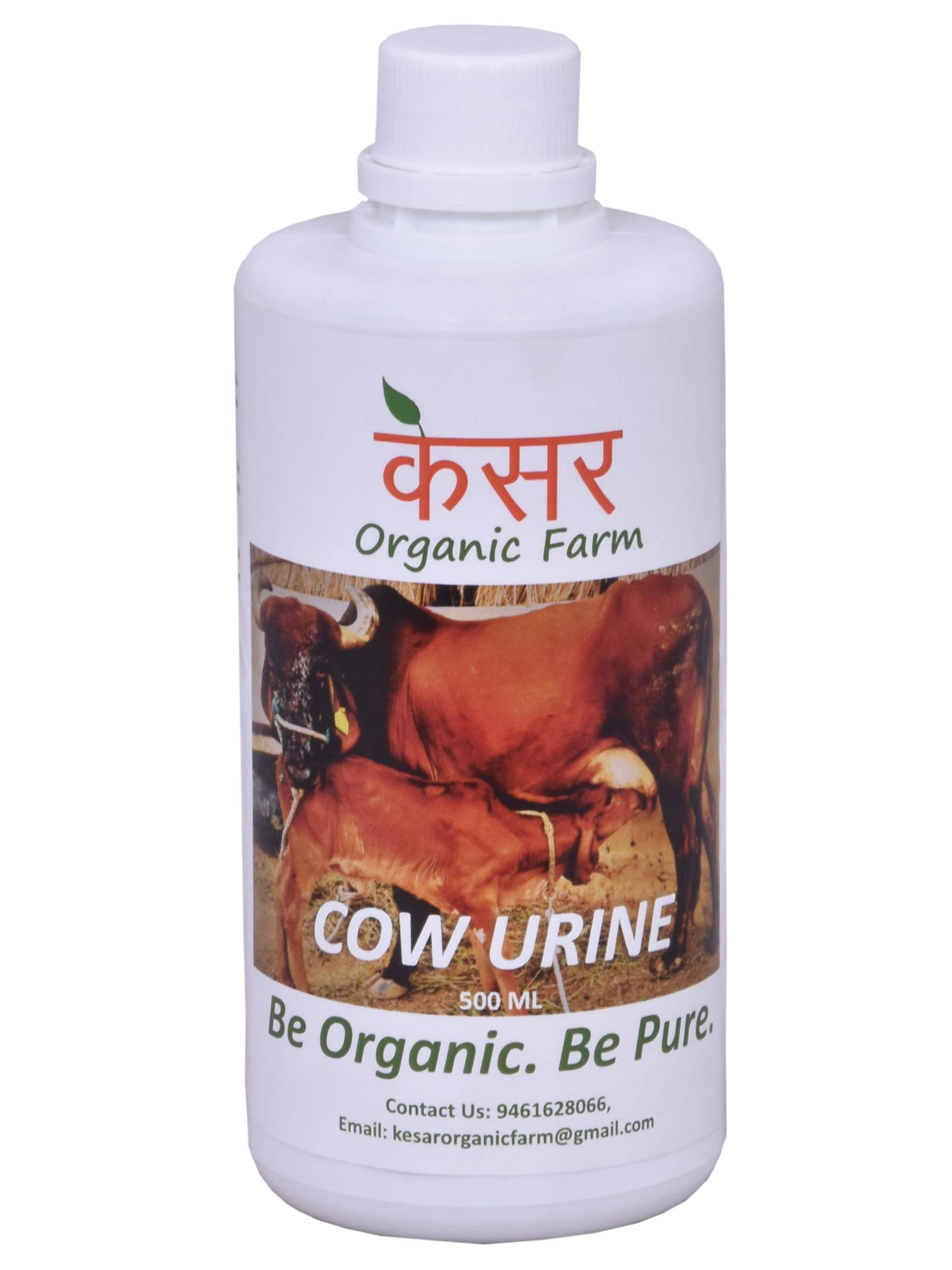 KESAR ORGANIC FARM Pure Desi Cow Urine Gomutra Gaumutra Bio-Pesticide Bio-Insecticide and Bio-Fertilizer for Plants, 500ml (B07B1S22CS) Amazon Price History, Amazon Price Tracker