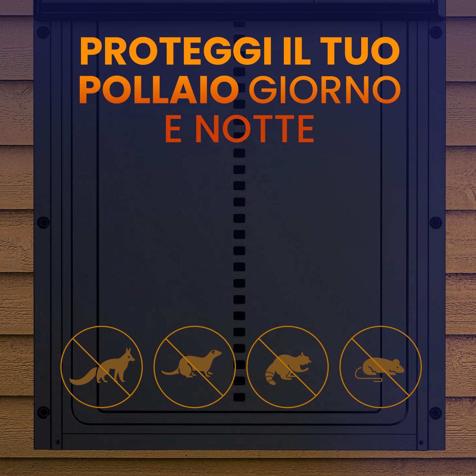 Chicken Coop Door Wireless Display LCD, Timer e Sensore di Luce | Porta Automatica per Pollaio Solare con Centralina, Resistente ai Predatori, 27,5 36,15 CM, Impermeabile - Nero