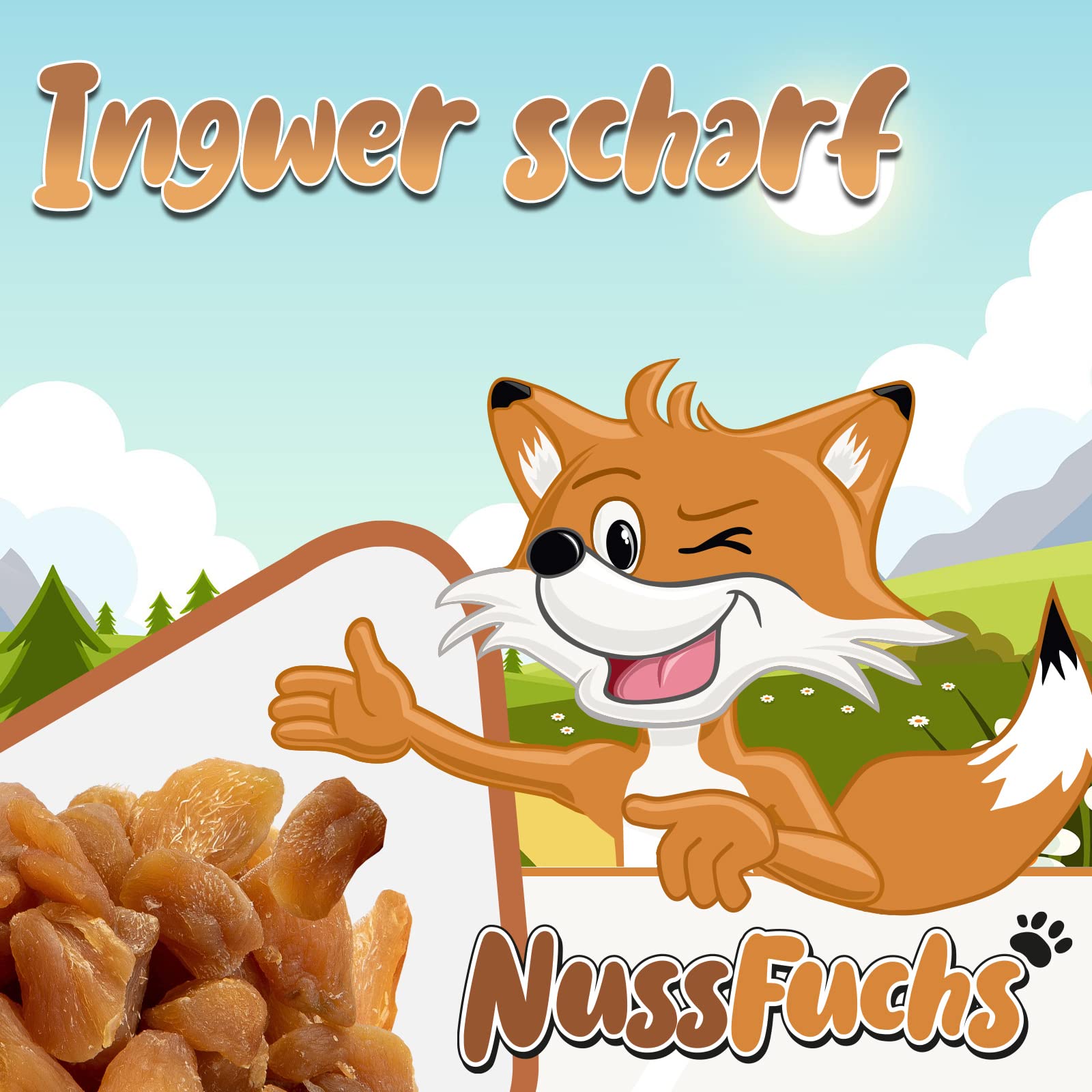 Ingwerstücke scharf 1kg - getrocknet aromatische Ingwer Stücke ohne Zucker - naturbelassen ungezuckert ungeschwefelt - 100% Ingwer Natural Ingwer Stücke gewürfelt ohne Gentechnik - (1kg)