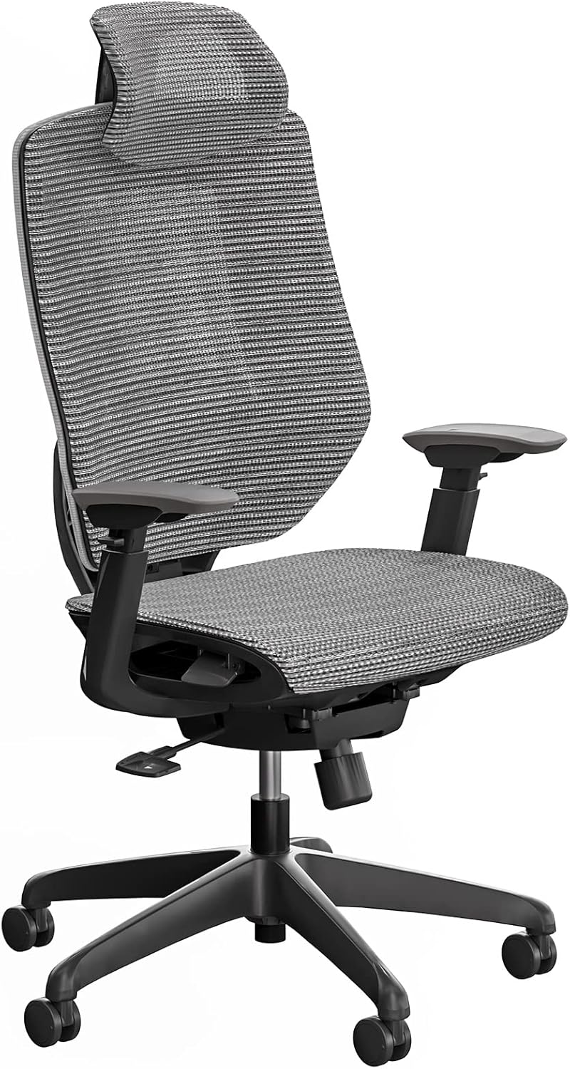 FLEXISPOT OC6 Mesh Ergonomic Office Chair High Back Desk
