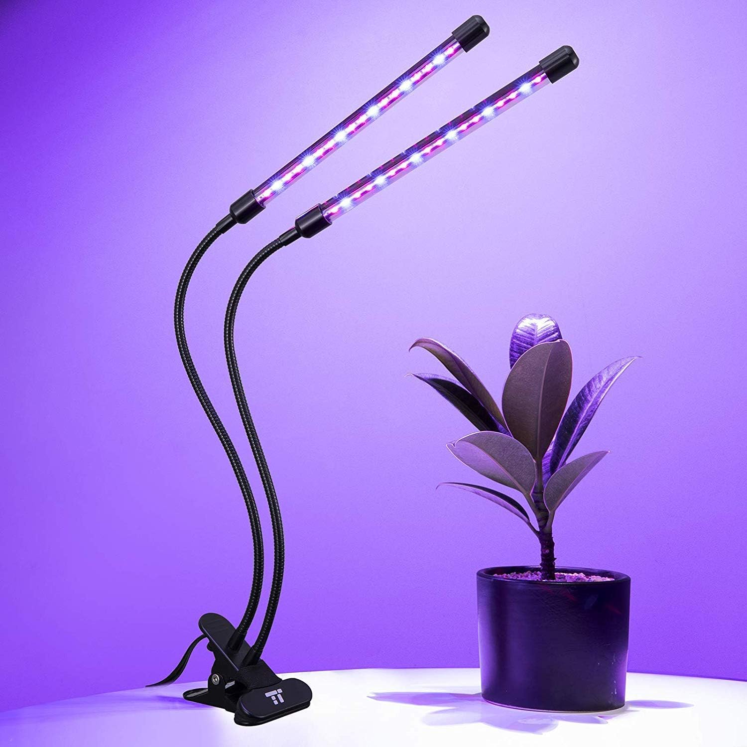 lampadine per piante d'appartamento