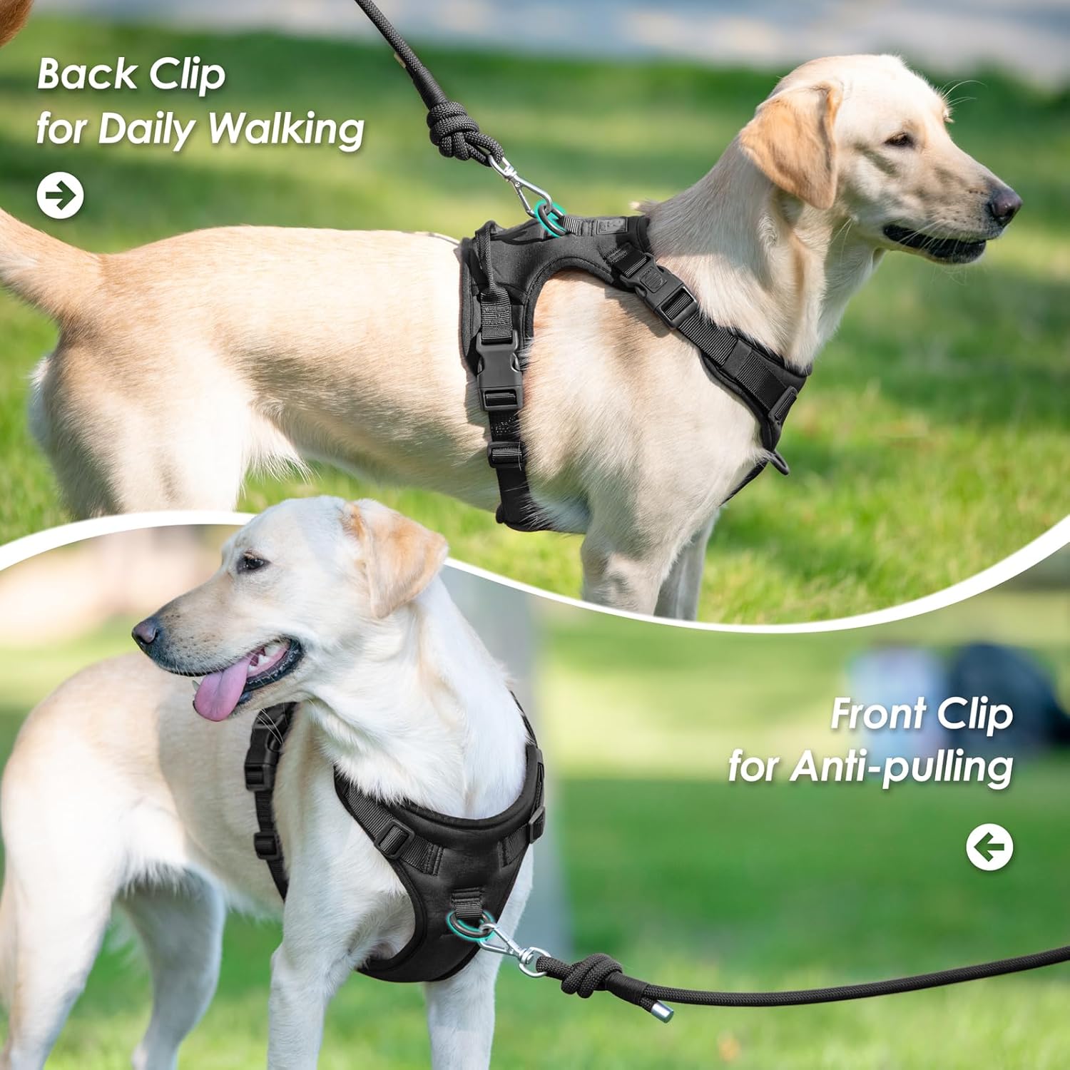 No Pull Dog Harness, Puppy Vest(Classic Black,L)