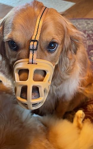 Vista 57 de Bozal para perro, bozal impreso para perros pequeños, medianos y grandes, perro salchicha, beagle, pastor alemán, bozales transpirables