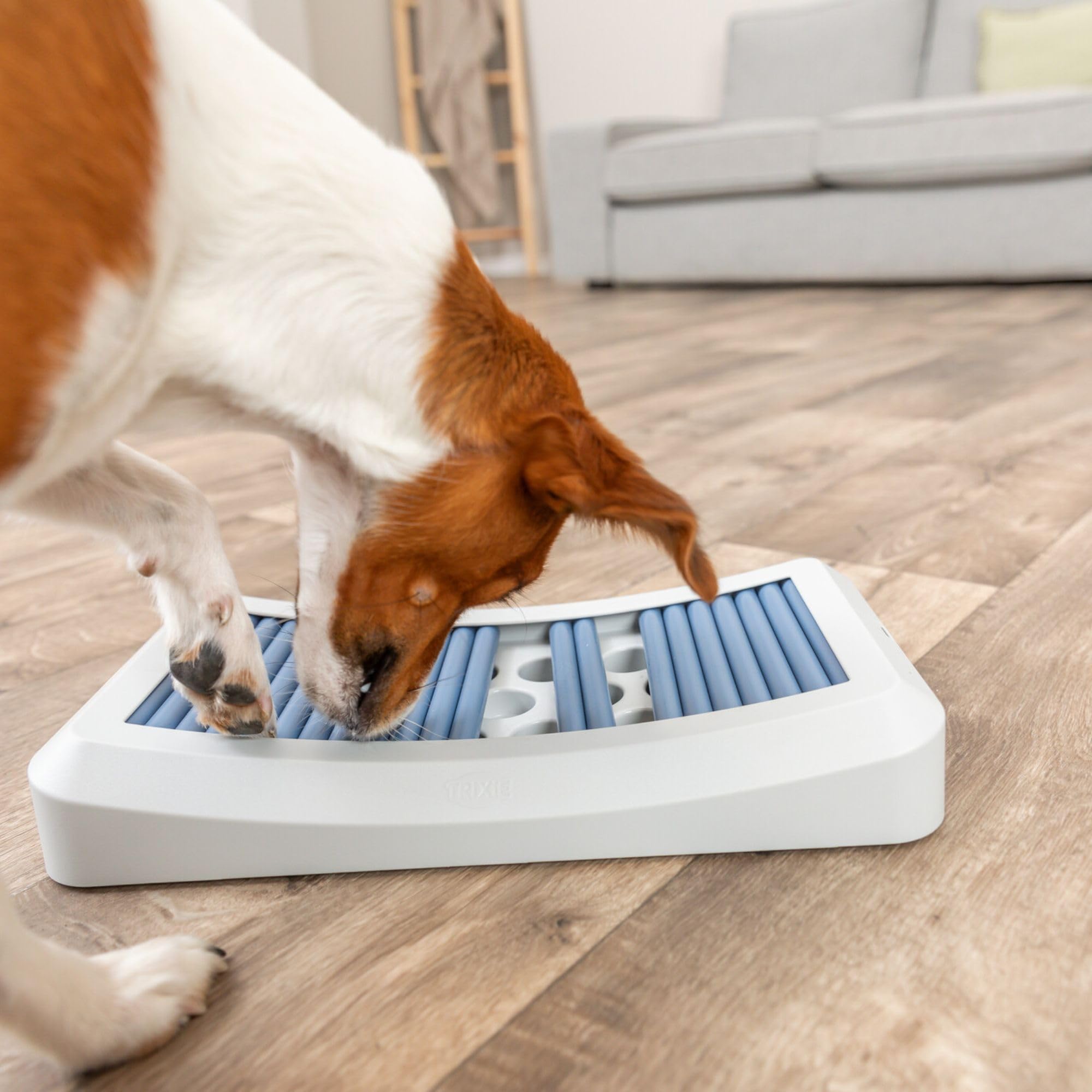 Activity Board for Dogs: Boost Your Pup's Intelligence