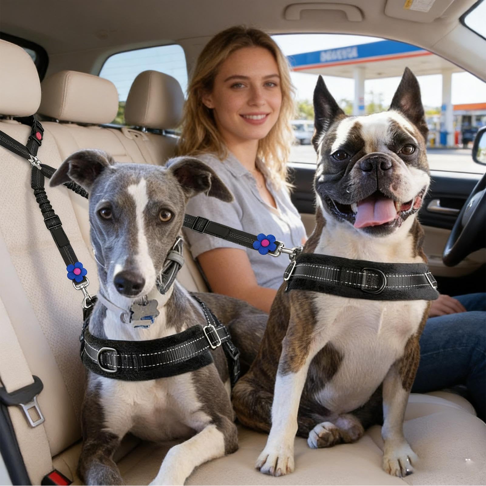 Hundesicherheitsgurt Für Auto Tiergeschirr Ausfahrbar | Tierischer Autogurt Für Fahrten Für Kleine Und Mittelgroße Rassen Pendeln Reisen Roadtrips Lange Fahrten Familienausflüge