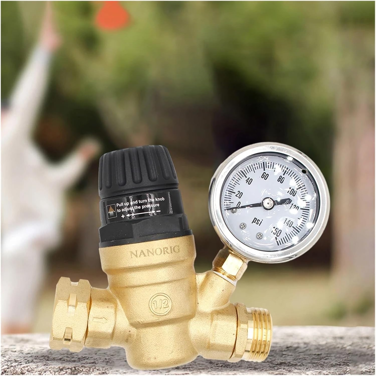 3/4 Inch Pressure Reducing Valve Compact RV Reducer with Gaug and 2 Filters for Camper/Garden Hose/Travel Trailer