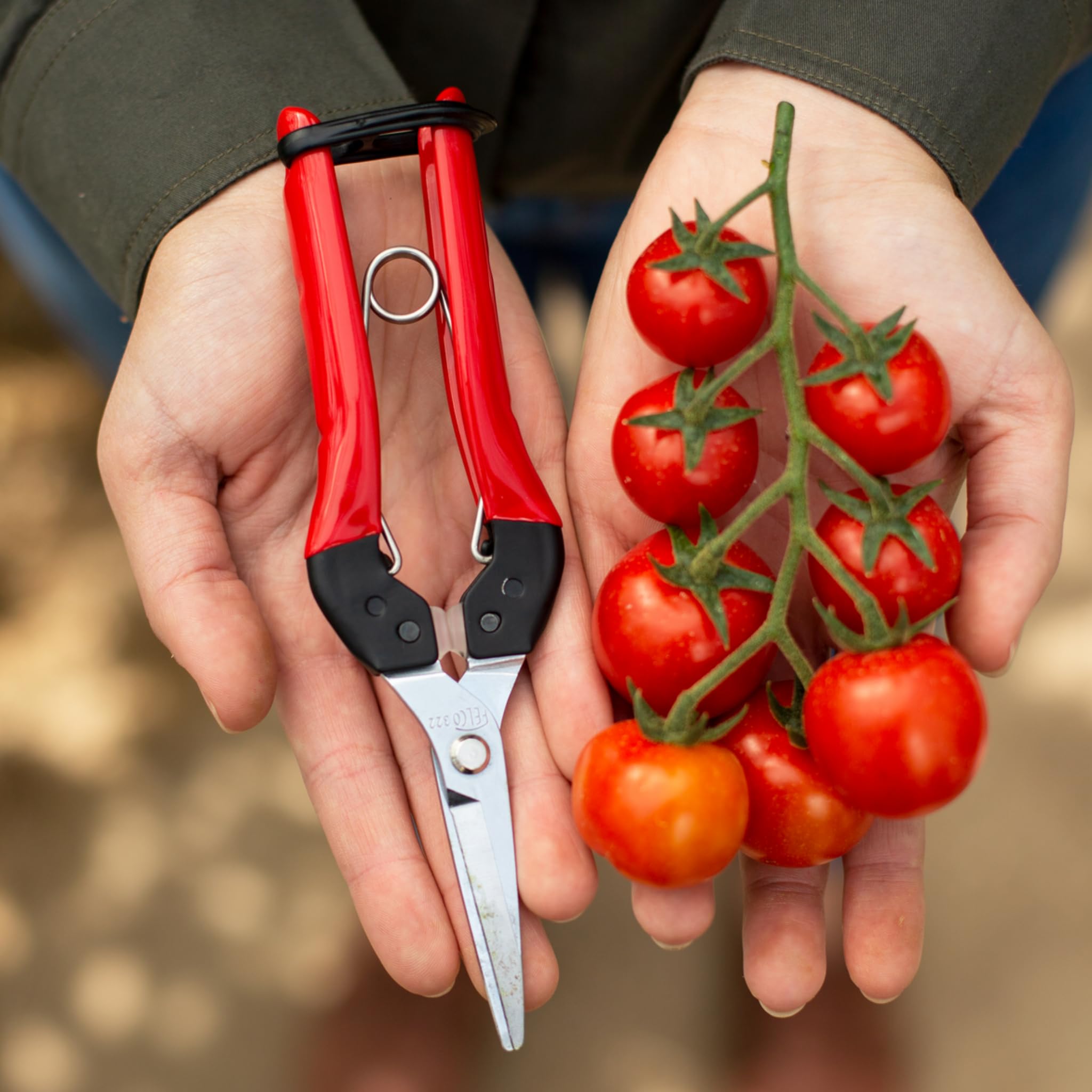 FELCO 322 épinette longue portée, lame chromée 46 mm, coupe 10 mm, poignées acier ergonomiques, amortisseurs polyuréthane, outil précis et léger 190 mm, pour jardinier, fleuriste, viticulteur
