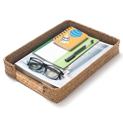 Seagrass Letter Tray, Woven Desk Tray, Wicker Desk Organizer, A4 Paper, Document, File, Mail, Magazine Storage Basket for Office, Classroom, Home Desktop