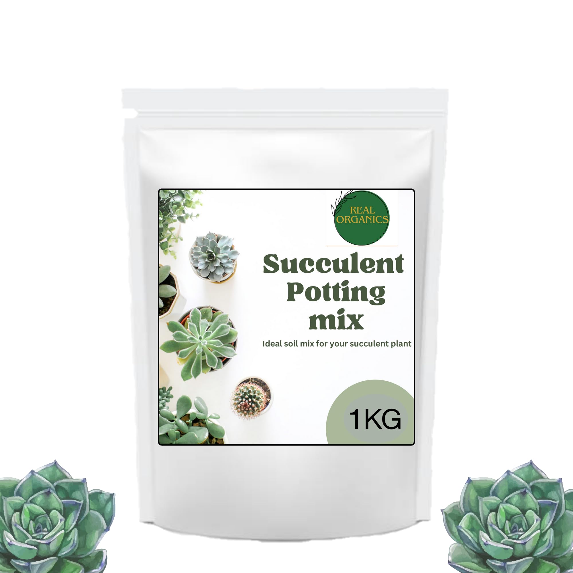 Real Organics Succulent and Cactus Potting Mix - 2 kg/Well -Drain Potting Mix for Succulent/Improve Soil Aireration (2)
