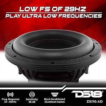 Amazon.com: DS18 ZXI10.4D 10 Inches High Excursion Car Audio