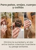 Ver la foto 7