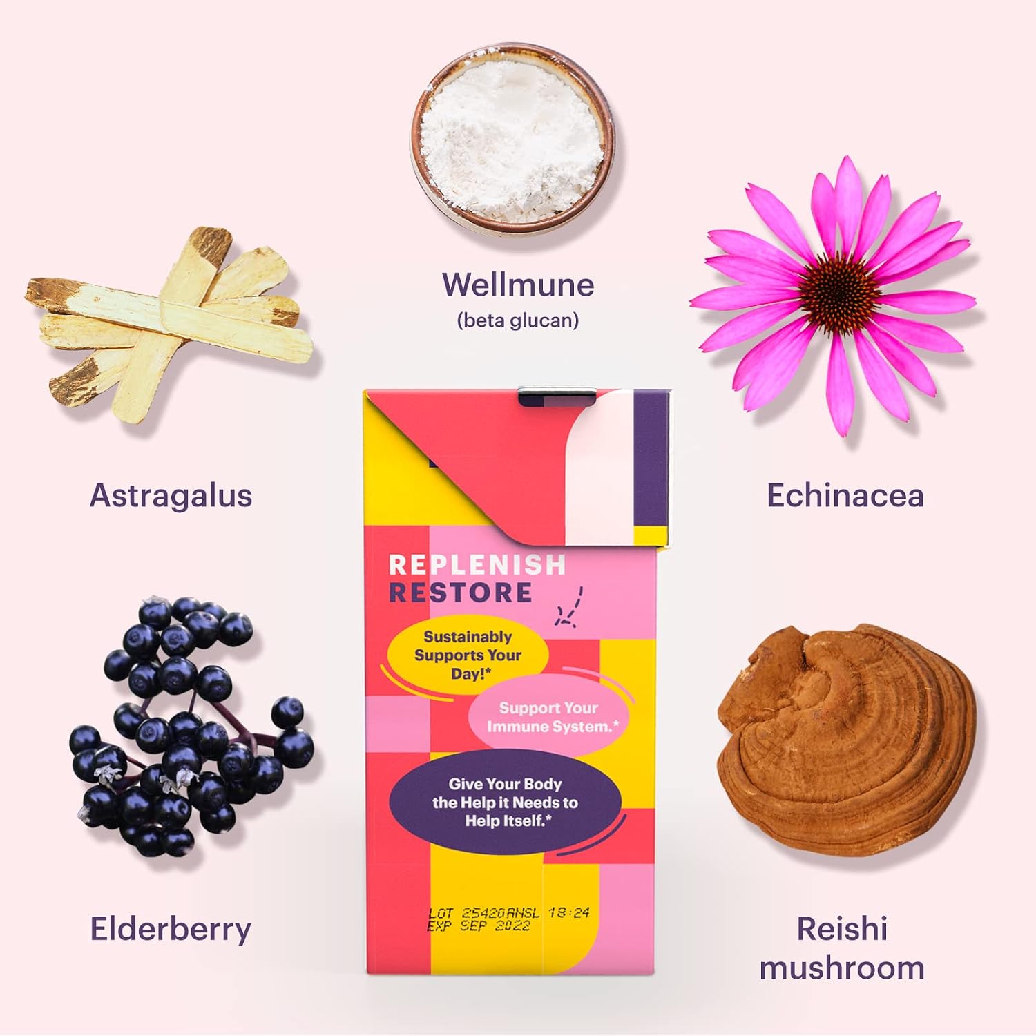 Natreve Wellness Immune Support Supplement Drink Mix - Vegan Vitamin C, Elderberry, and Echinacea Blend for Immune Defense, Blueberry Pomegranate, 15 Packets