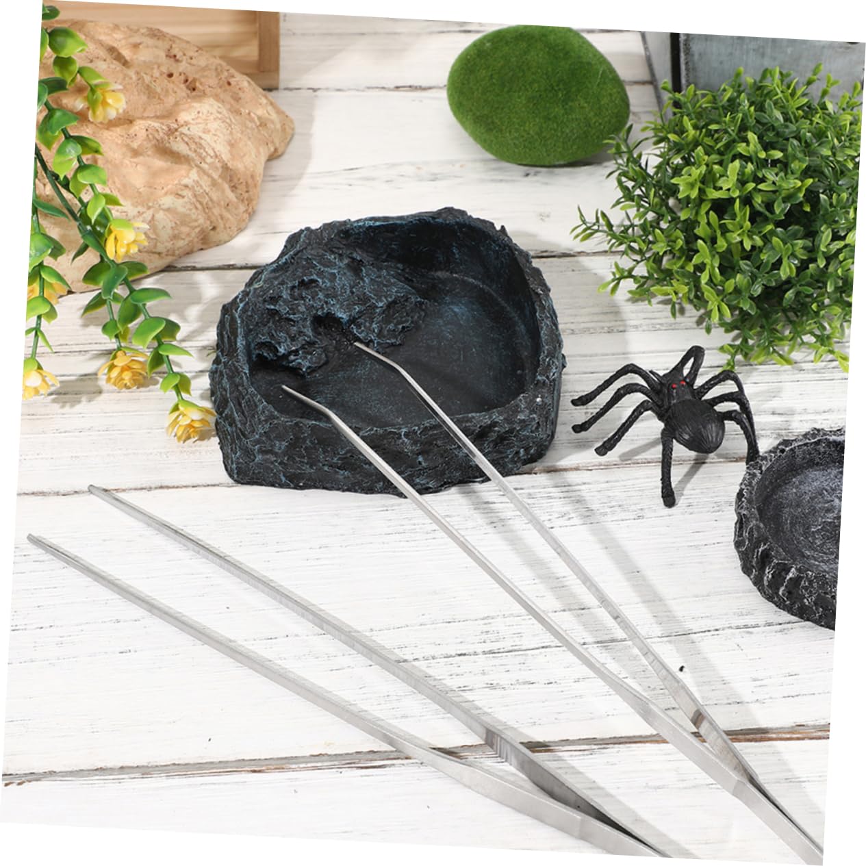 IMIKEYA 1set Ciotola Per Cibo Per Rettili Completo Per Draghi Barbuto e Accessori Facili Da Pinzette Per Alimentazionper Terrari e Habitat Rettili