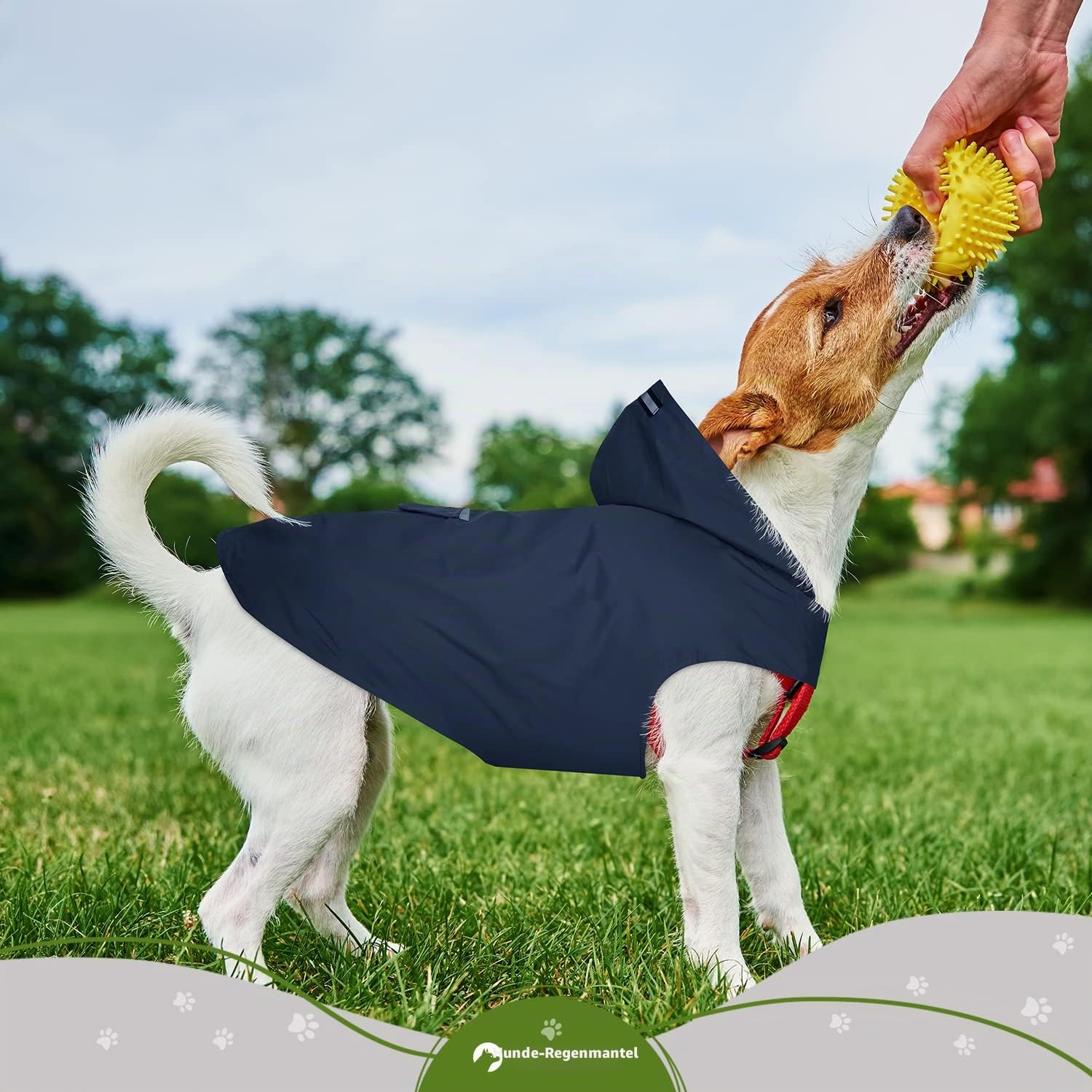Zellar Hunderegenmantel mit Kapuze & Kragenloch & Sicheren Reflektierenden Streifen, Ultraleichte Atmungsaktive 100% wasserdichte Regenjacke für Mittelgroße bis Große Hunde, Blau, 6XL