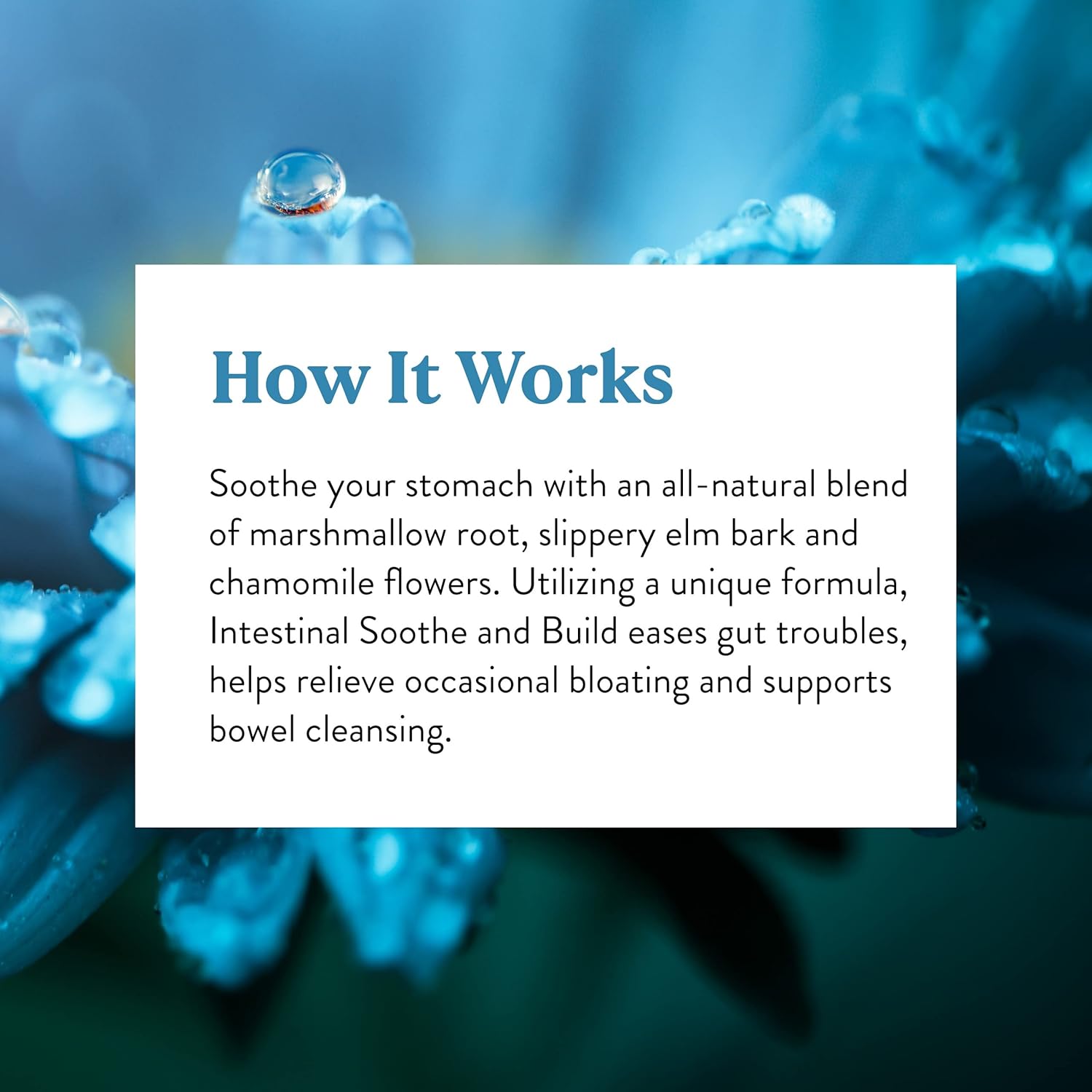 Nature's Sunshine Intestinal Soothe and Build 100 Capsules