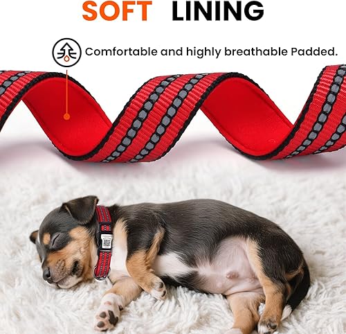 Miniatura 3 de Collar reflectante para perro con etiqueta de código QR, collar de perro personalizado, visibilidad nocturna de seguridad, función antipérdida Negro