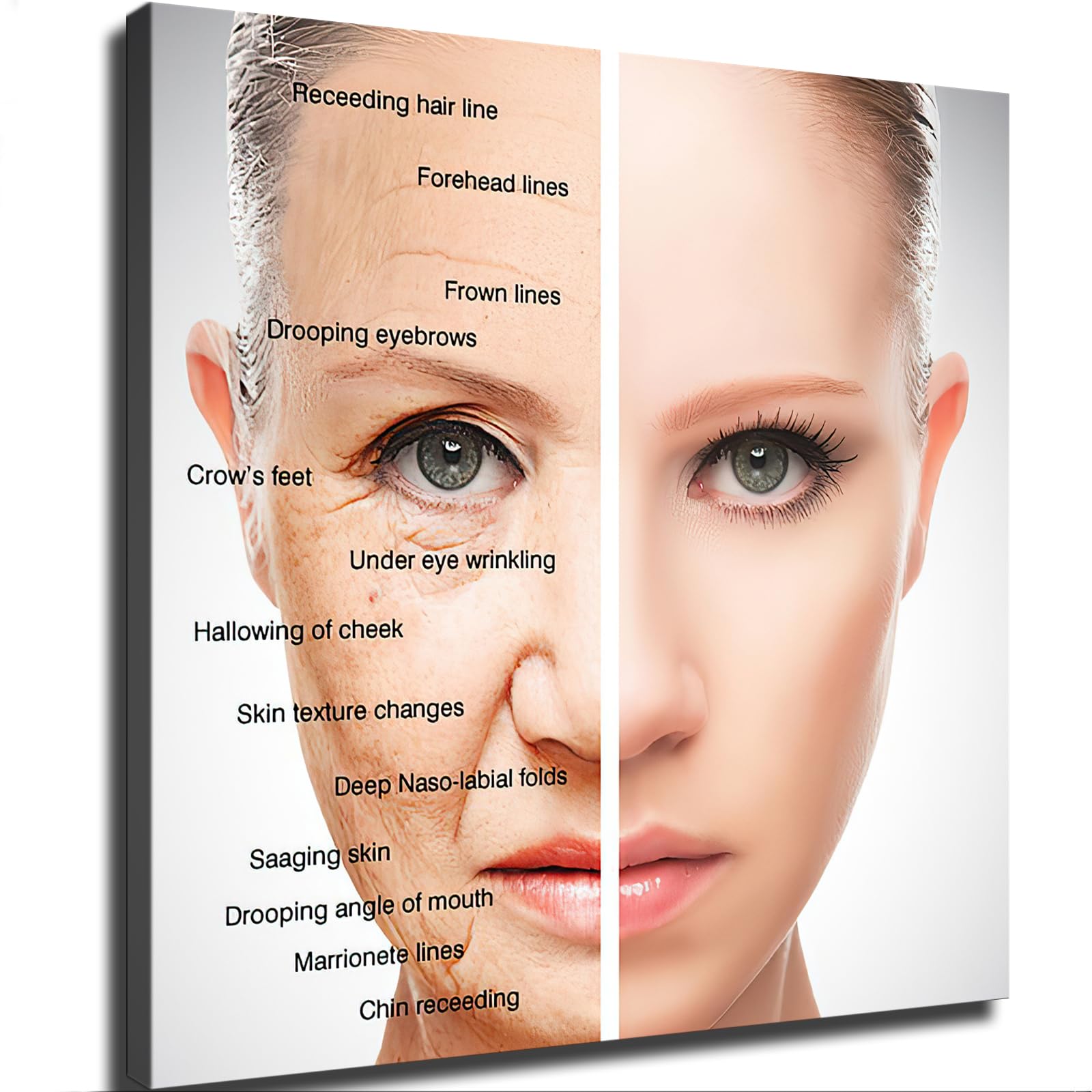 Beauty Salon Wall Art for Aging Skin Management: What Matters for Everyday Use