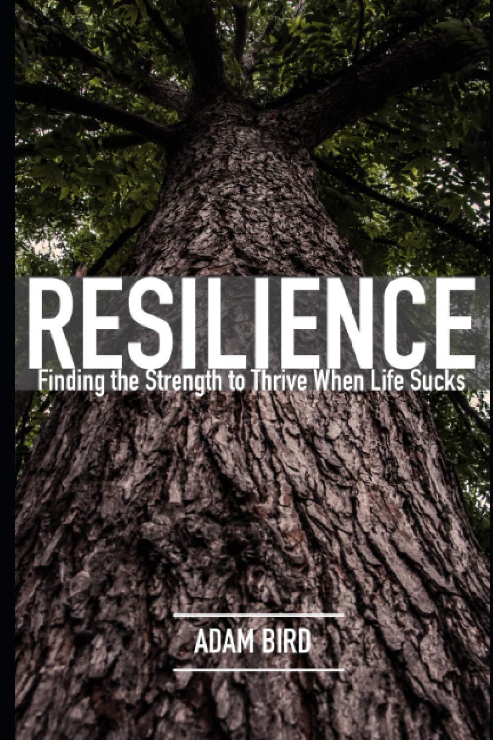 Resilience: Finding the Strength to Thrive when Life Sucks