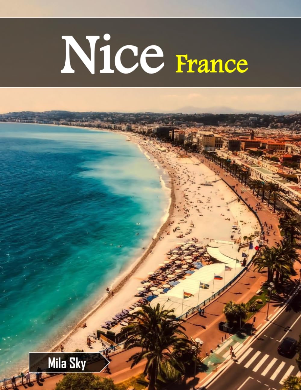 Nice, France: A Luxury Coffee Table Book of Iconic Landmarks