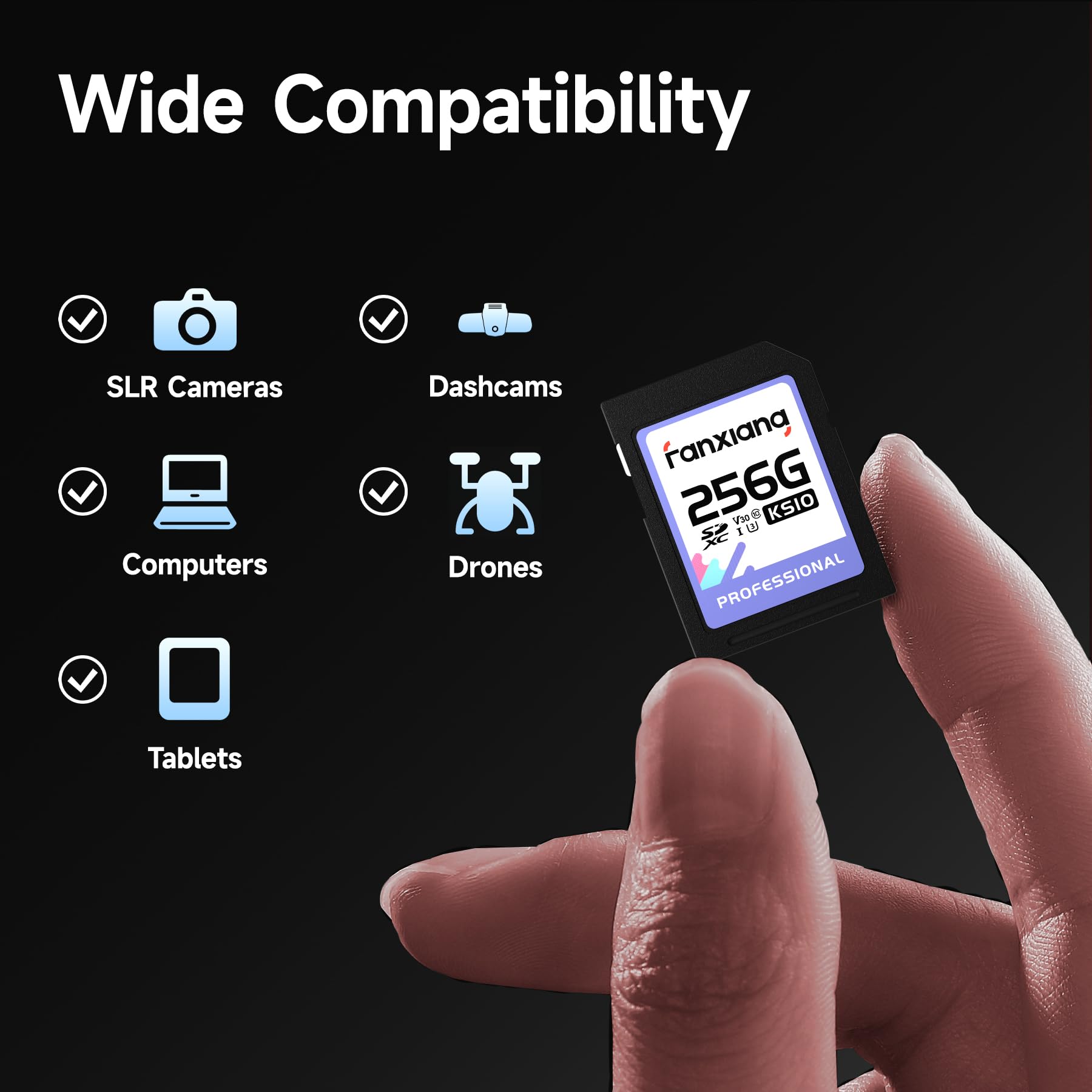 fanxiang Carte SD 256 Go Jusqu'à 100 Mo/s - Carte mémoire SDXC UHS-I V30, U3, Classe 10 pour Appareil Photo Vidéos 4K UHD