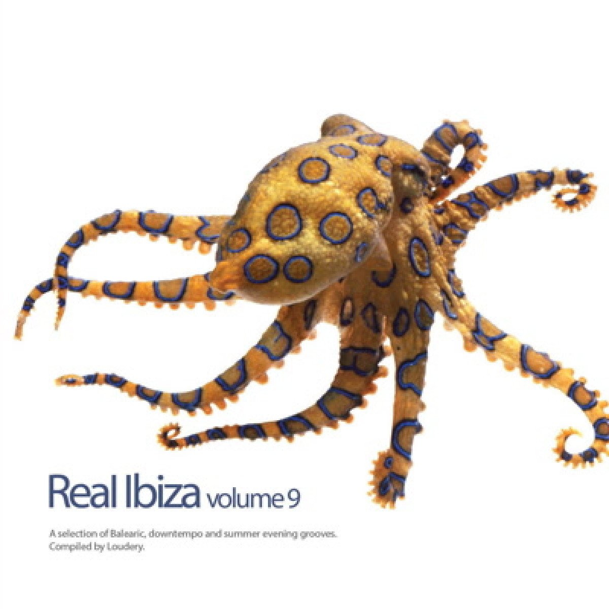REAL IBIZA V.9