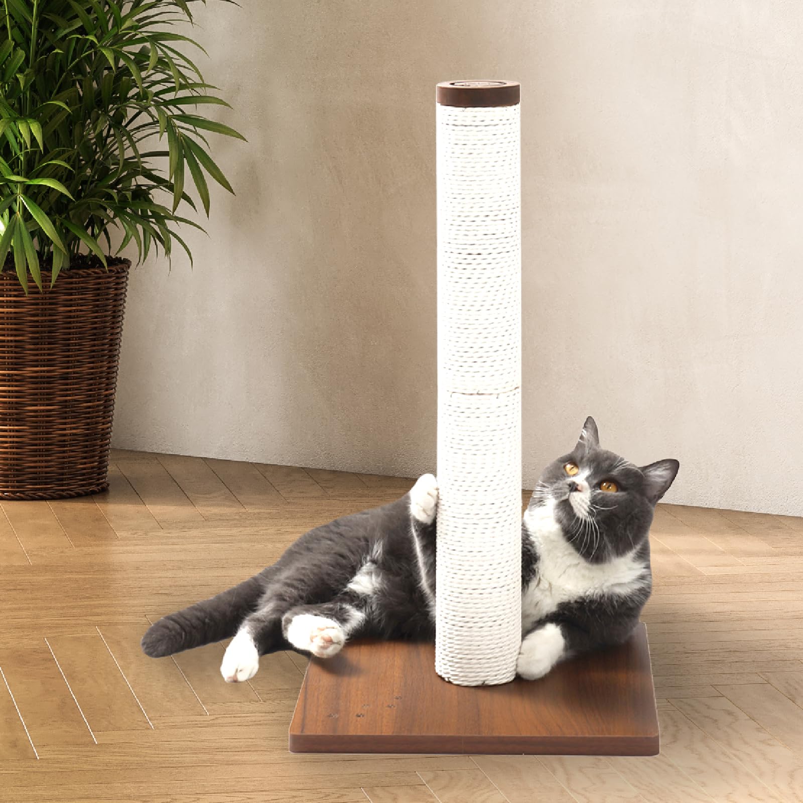 Necoichi 23.6” Tall Cat Scratching Post Kitten Scratcher Paper Rope Scratch Posts Trees with Hanging for Indoor Cats (23.6 inches for Kitty, Regular, Dark Cherry)