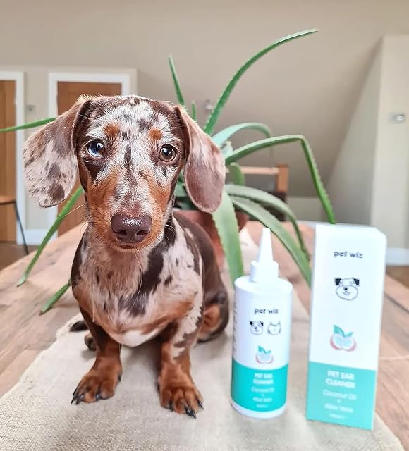 Foto 4 de 7 de pet wiz Limpiador de oídos para perros y gatos, aceite de coco y aloe vera (240 ml)