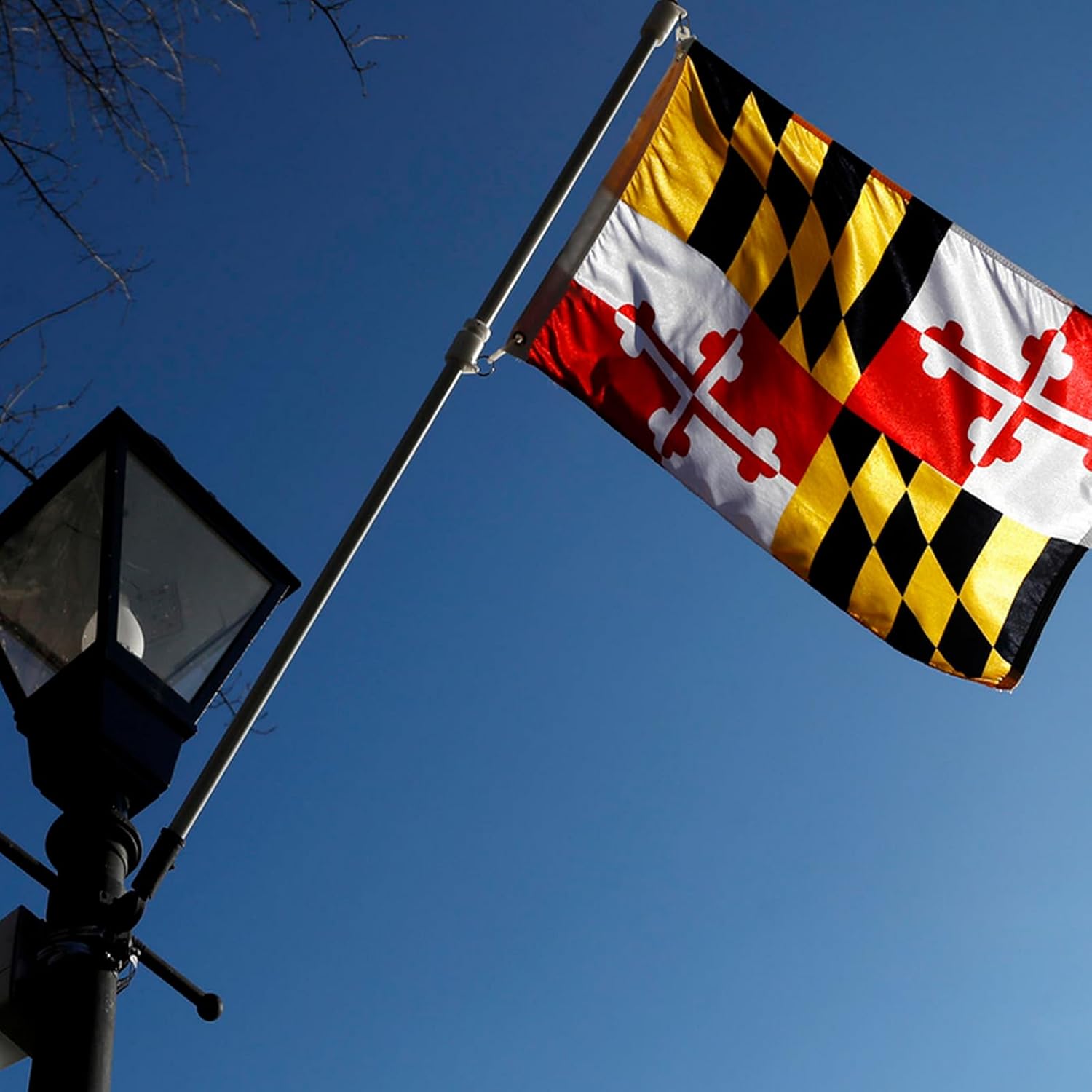 Maryland State Flags 3x5 Outdoor Double Sided 3 Ply Heavy Duty MD State Flags Banner for Outside with 2 Brass Grommets UV protection Fade Resistant for Indoor Outdoor - Image 7