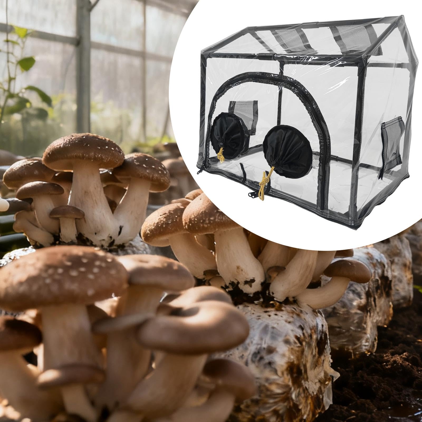 Pilzzuchtbeutel Pflanzcontainer Mini-gewächshaus Pilz Anzuchtsack Garten Pflanzbeutel mit Stabilem PVC Material für Balkon Terrasse Innengarten